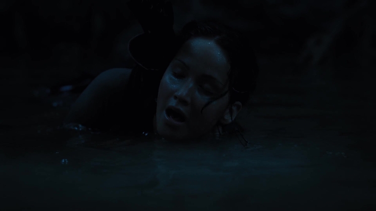 The_Hunger_Games_Catching_Fire_2013_1080p_BluRay_x264_AAC_-_Ozlem_08236.jpg