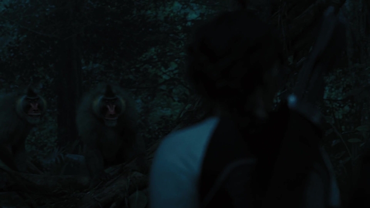 The_Hunger_Games_Catching_Fire_2013_1080p_BluRay_x264_AAC_-_Ozlem_08349.jpg