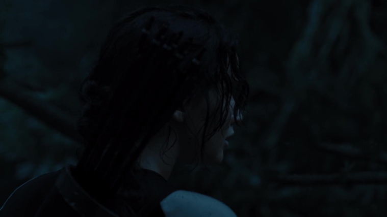 The_Hunger_Games_Catching_Fire_2013_1080p_BluRay_x264_AAC_-_Ozlem_08368.jpg