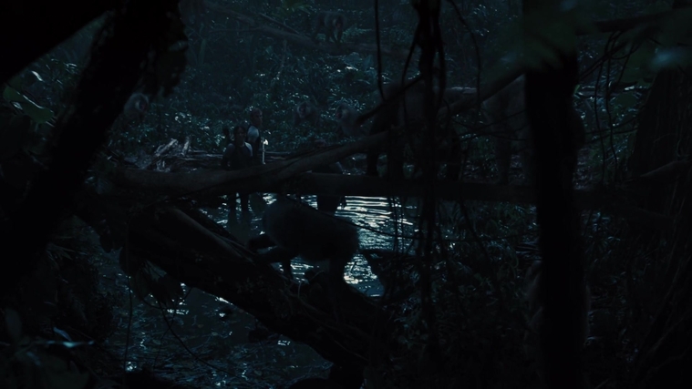 The_Hunger_Games_Catching_Fire_2013_1080p_BluRay_x264_AAC_-_Ozlem_08417.jpg