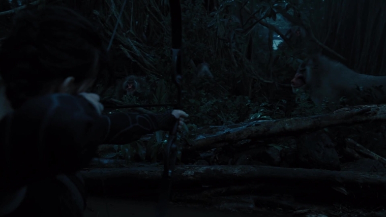 The_Hunger_Games_Catching_Fire_2013_1080p_BluRay_x264_AAC_-_Ozlem_08443.jpg