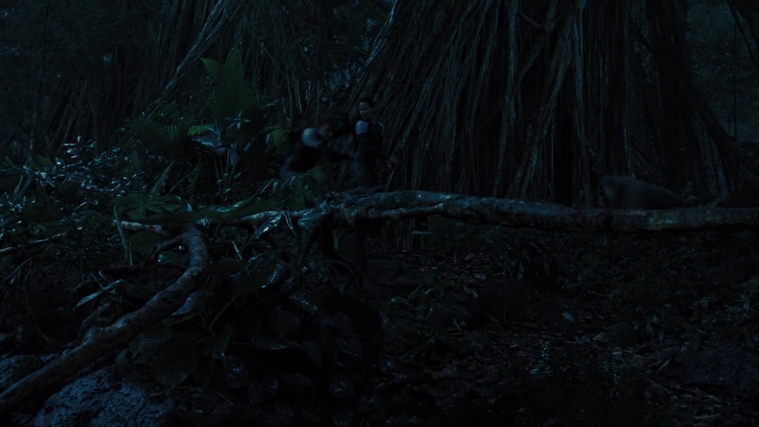 The_Hunger_Games_Catching_Fire_2013_1080p_BluRay_x264_AAC_-_Ozlem_08534.jpg