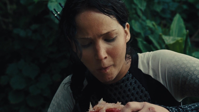 The_Hunger_Games_Catching_Fire_2013_1080p_BluRay_x264_AAC_-_Ozlem_08761.jpg