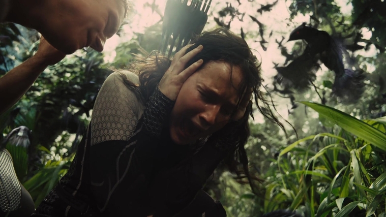 The_Hunger_Games_Catching_Fire_2013_1080p_BluRay_x264_AAC_-_Ozlem_09496.jpg