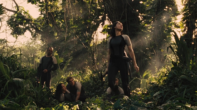 The_Hunger_Games_Catching_Fire_2013_1080p_BluRay_x264_AAC_-_Ozlem_09547.jpg