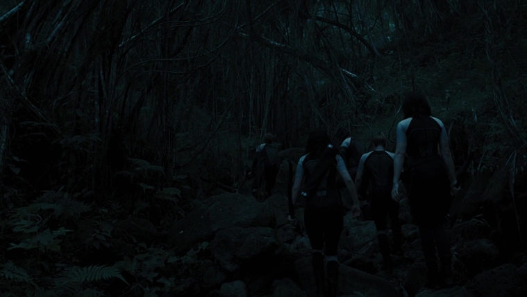 The_Hunger_Games_Catching_Fire_2013_1080p_BluRay_x264_AAC_-_Ozlem_10100.jpg