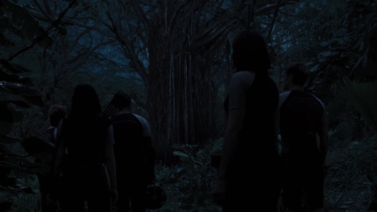 The_Hunger_Games_Catching_Fire_2013_1080p_BluRay_x264_AAC_-_Ozlem_10168.jpg