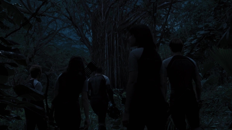 The_Hunger_Games_Catching_Fire_2013_1080p_BluRay_x264_AAC_-_Ozlem_10173.jpg