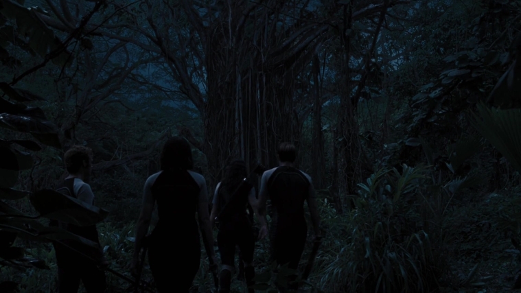 The_Hunger_Games_Catching_Fire_2013_1080p_BluRay_x264_AAC_-_Ozlem_10176.jpg