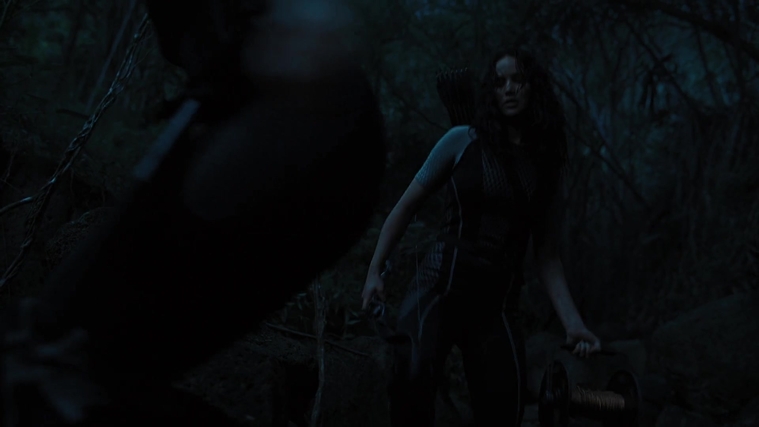 The_Hunger_Games_Catching_Fire_2013_1080p_BluRay_x264_AAC_-_Ozlem_10305.jpg