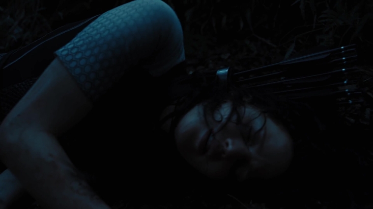 The_Hunger_Games_Catching_Fire_2013_1080p_BluRay_x264_AAC_-_Ozlem_10332.jpg
