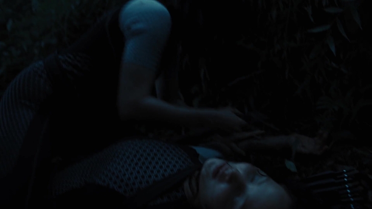 The_Hunger_Games_Catching_Fire_2013_1080p_BluRay_x264_AAC_-_Ozlem_10335.jpg