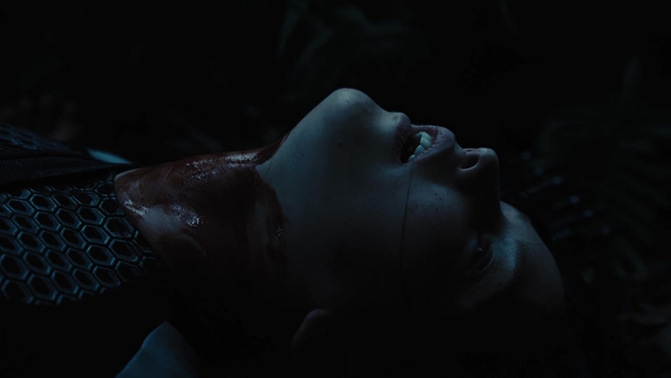 The_Hunger_Games_Catching_Fire_2013_1080p_BluRay_x264_AAC_-_Ozlem_10361.jpg