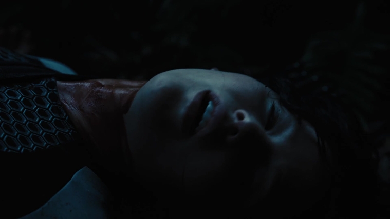 The_Hunger_Games_Catching_Fire_2013_1080p_BluRay_x264_AAC_-_Ozlem_10366.jpg