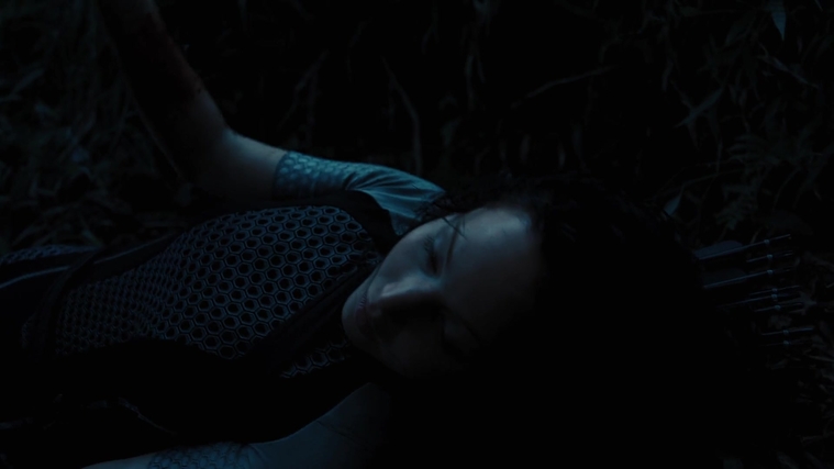 The_Hunger_Games_Catching_Fire_2013_1080p_BluRay_x264_AAC_-_Ozlem_10369.jpg