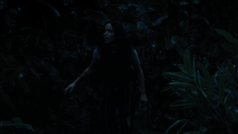 The_Hunger_Games_Catching_Fire_2013_1080p_BluRay_x264_AAC_-_Ozlem_10422.jpg