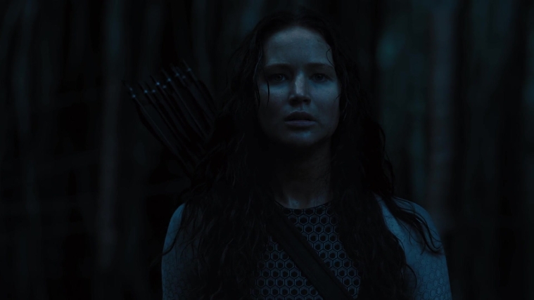 The_Hunger_Games_Catching_Fire_2013_1080p_BluRay_x264_AAC_-_Ozlem_10489.jpg
