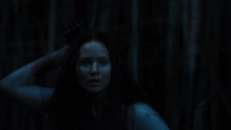 The_Hunger_Games_Catching_Fire_2013_1080p_BluRay_x264_AAC_-_Ozlem_10493.jpg