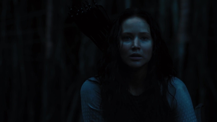 The_Hunger_Games_Catching_Fire_2013_1080p_BluRay_x264_AAC_-_Ozlem_10494.jpg