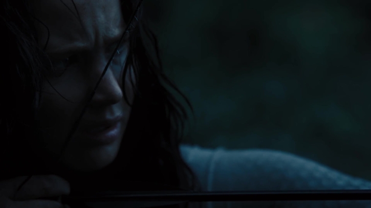 The_Hunger_Games_Catching_Fire_2013_1080p_BluRay_x264_AAC_-_Ozlem_10549.jpg