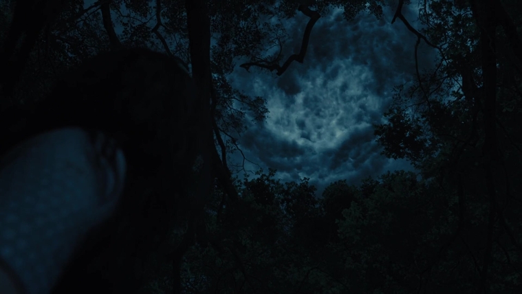 The_Hunger_Games_Catching_Fire_2013_1080p_BluRay_x264_AAC_-_Ozlem_10576.jpg