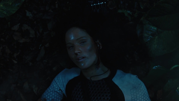 The_Hunger_Games_Catching_Fire_2013_1080p_BluRay_x264_AAC_-_Ozlem_10676.jpg