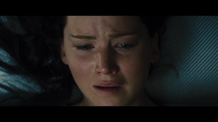 The_Hunger_Games_Catching_Fire_2013_1080p_BluRay_x264_AAC_-_Ozlem_11107.jpg