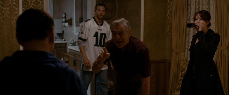 The_Silver_Linings_Playbook_CAPTURES2_2857229.jpg