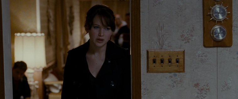 The_Silver_Linings_Playbook_CAPTURES2_2863529.jpg