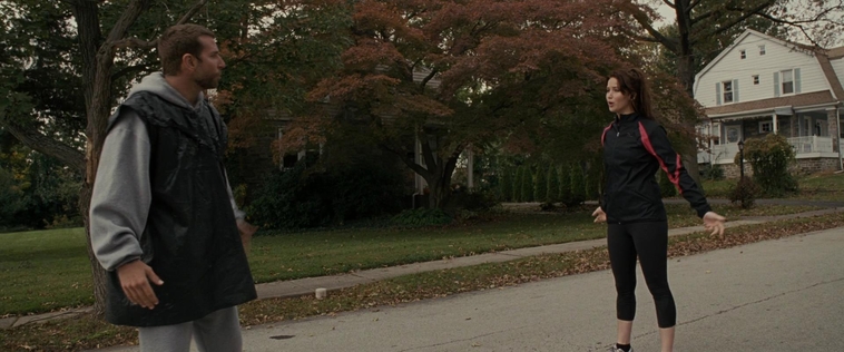 The_Silver_Linings_Playbook_CAPTURES_2821529.jpg