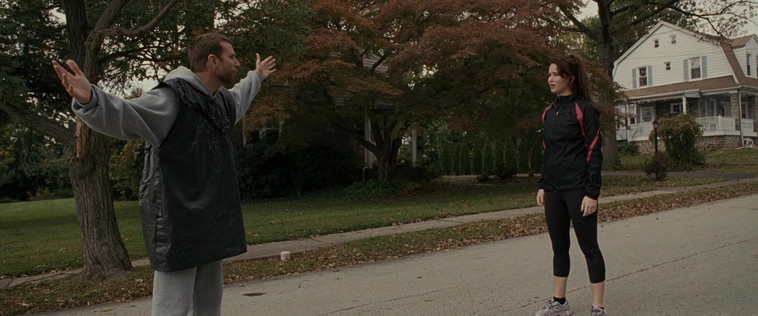 The_Silver_Linings_Playbook_CAPTURES_2821729.jpg