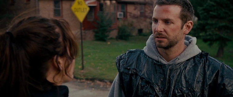 The_Silver_Linings_Playbook_CAPTURES_2822729.jpg