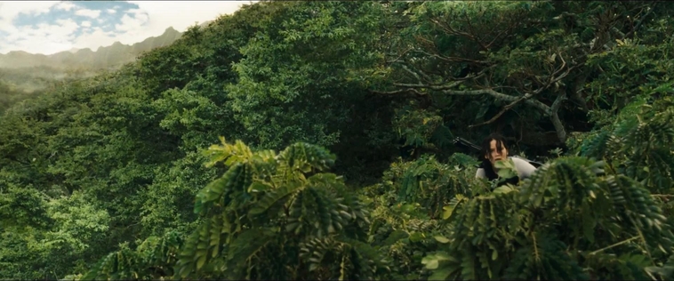 cf-finaltrailer-0014.jpg