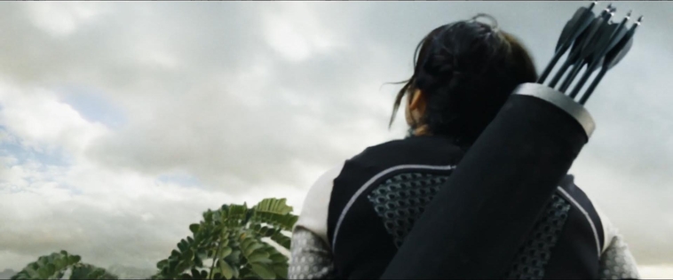 cf-finaltrailer-0088.jpg