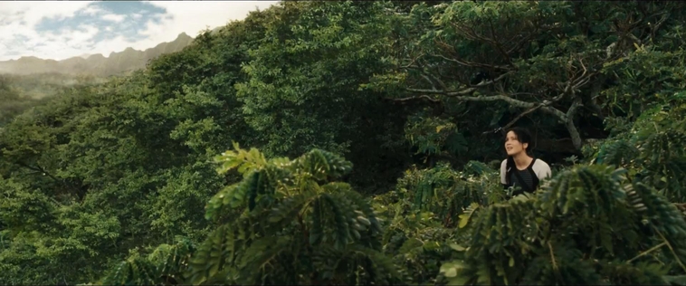 cf-finaltrailer-0101.jpg