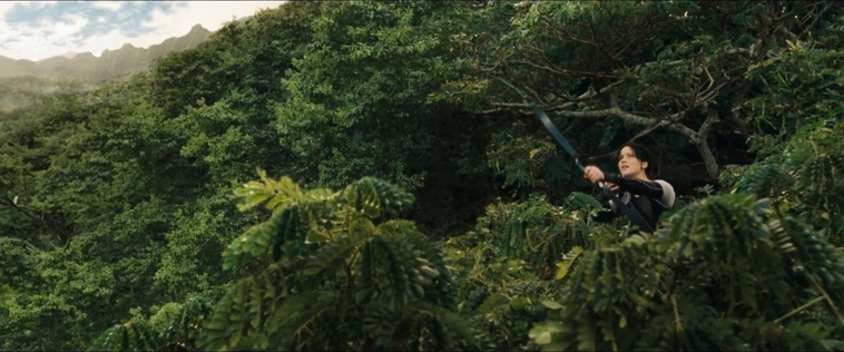 cf-finaltrailer-0118.jpg