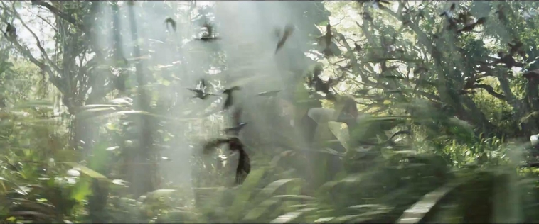cf-finaltrailer-0436.jpg