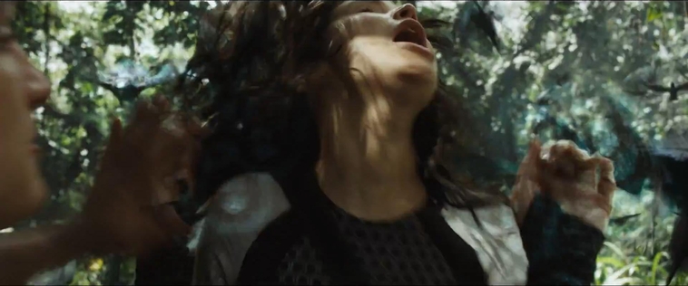 cf-finaltrailer-0445.jpg