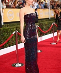 20th_Annual_Screen_Actors_Guild_Awards_-_Red_Carpet__284629.jpg
