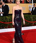 20th_Annual_Screen_Actors_Guild_Awards_-_Red_Carpet__287429~0.jpg