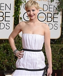 71st_Annual_Golden_Globe_Awards_-_Red_Carpet__red_carpet_283429.jpg