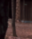House_at_the_End_of_the_Street__28185829.jpg