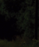 House_at_the_End_of_the_Street__2834029.jpg