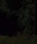 House_at_the_End_of_the_Street__2834129.jpg