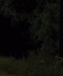 House_at_the_End_of_the_Street__2834229.jpg