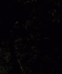 House_at_the_End_of_the_Street__2834829.jpg