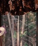 House_at_the_End_of_the_Street__2865329.jpg