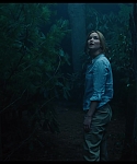 JOY_2815629.jpg