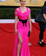 January_30_-_17th_Annual_Screen_Actors_Guild_Awards_in_Los_Angeles_2813829.jpg