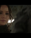 Mockingjay_Trailer_2822129.jpg